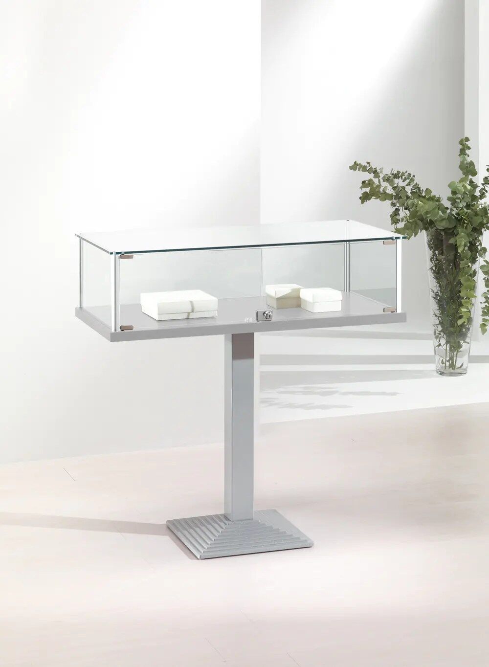 vitrine en verre - 1-pfva_gris-clair