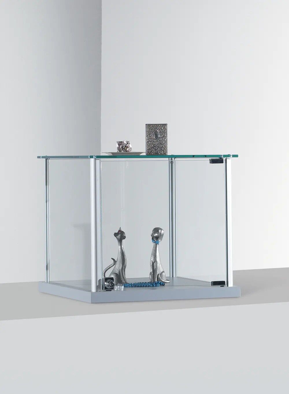 vitrine en verre - 6-tvva-gris-clair